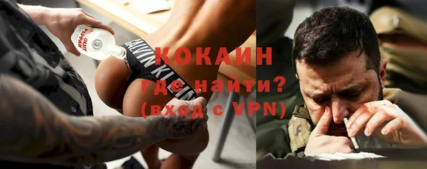 дурь Пестово