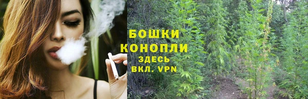 дурь Пестово