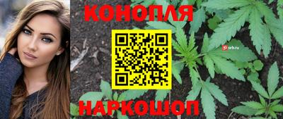 сатива Малоярославец