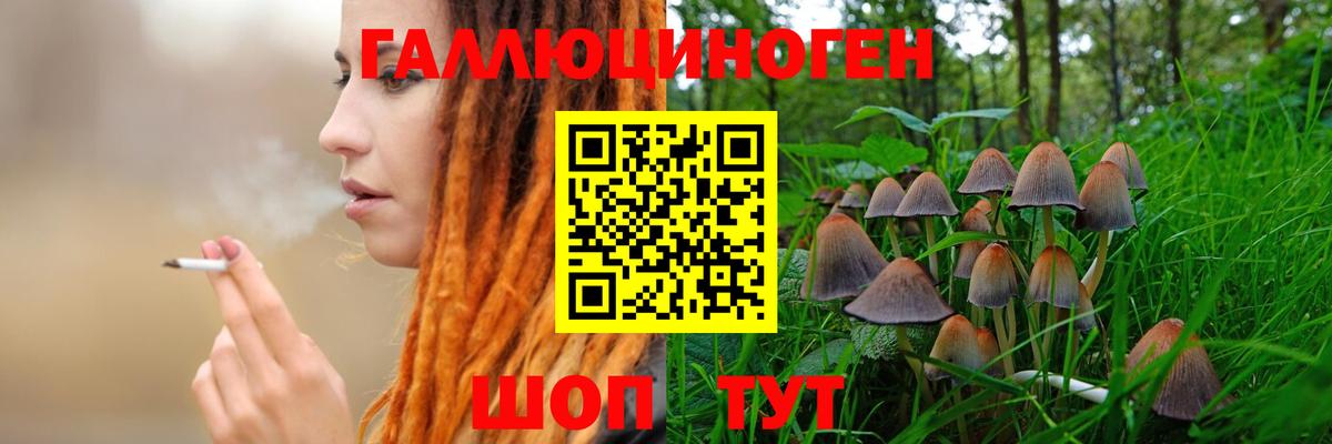 Псилоцибиновые грибы Magic Shrooms Сосновый Бор